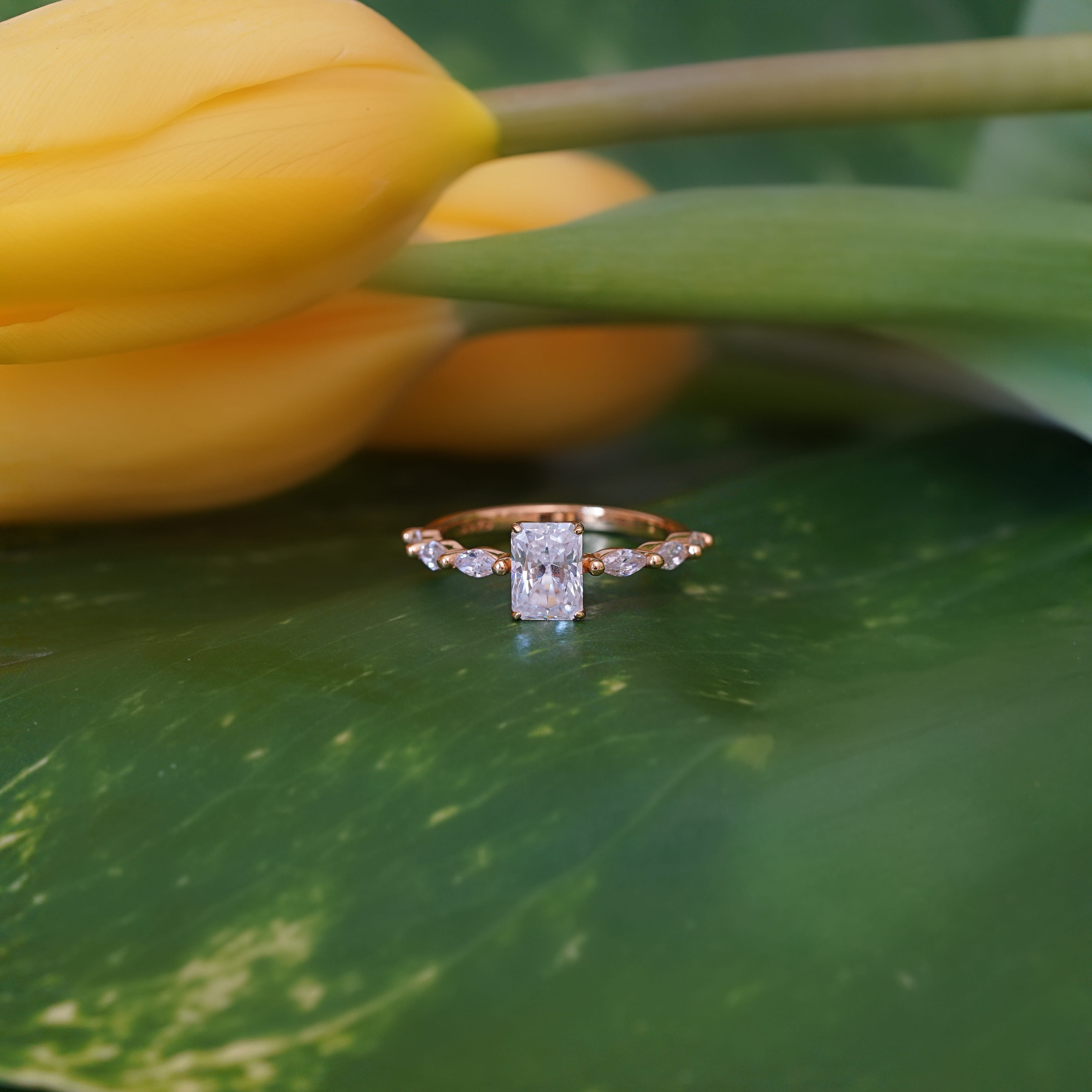 Zerelle Radiant Pavé Ring