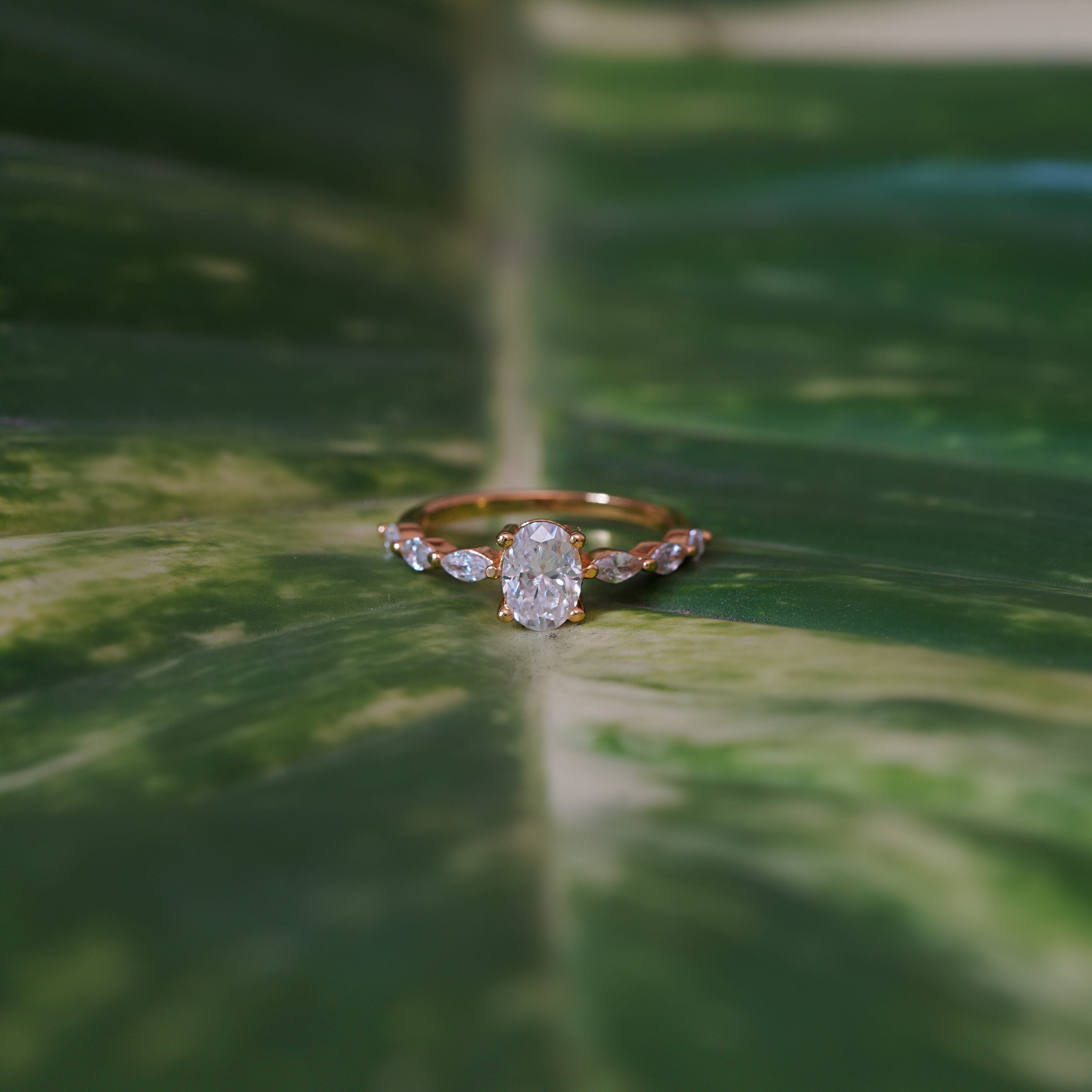 Zerelle Oval Pavé Ring