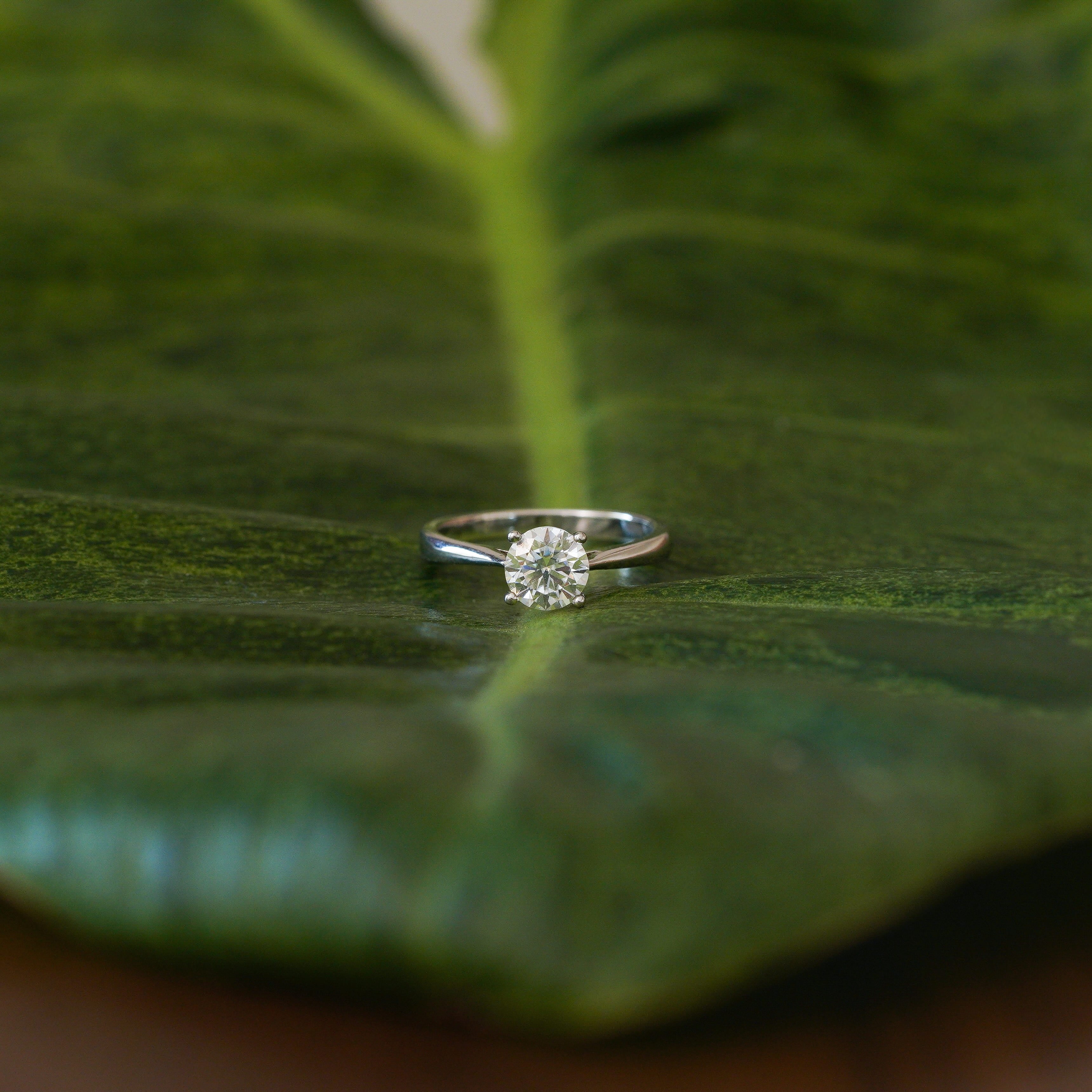 Aveline Cathedral Ring