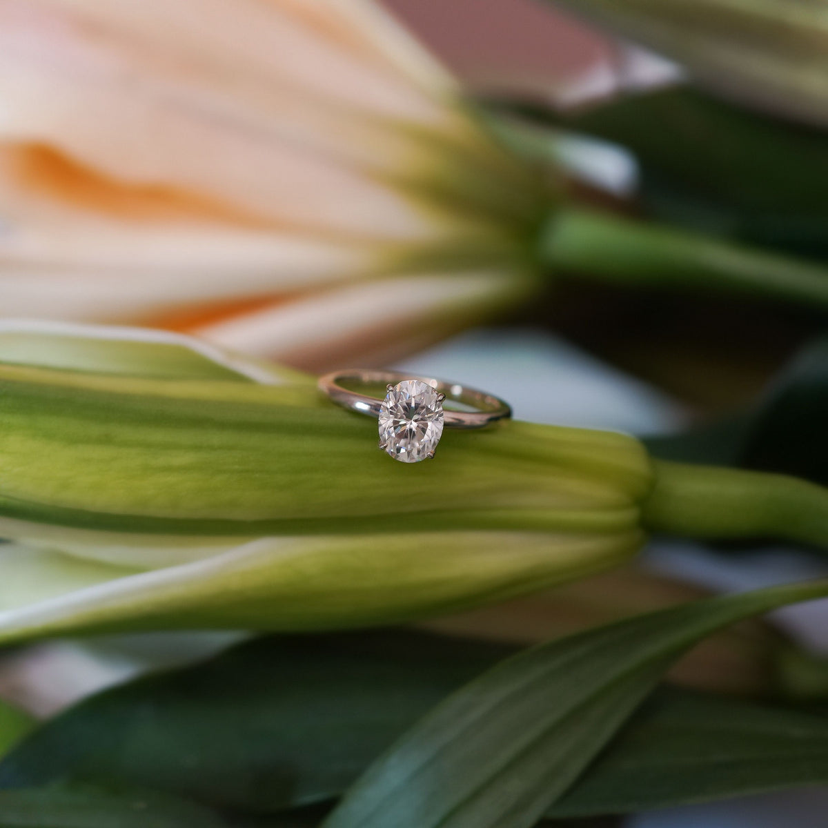 Oval Cut Solitaire Ring