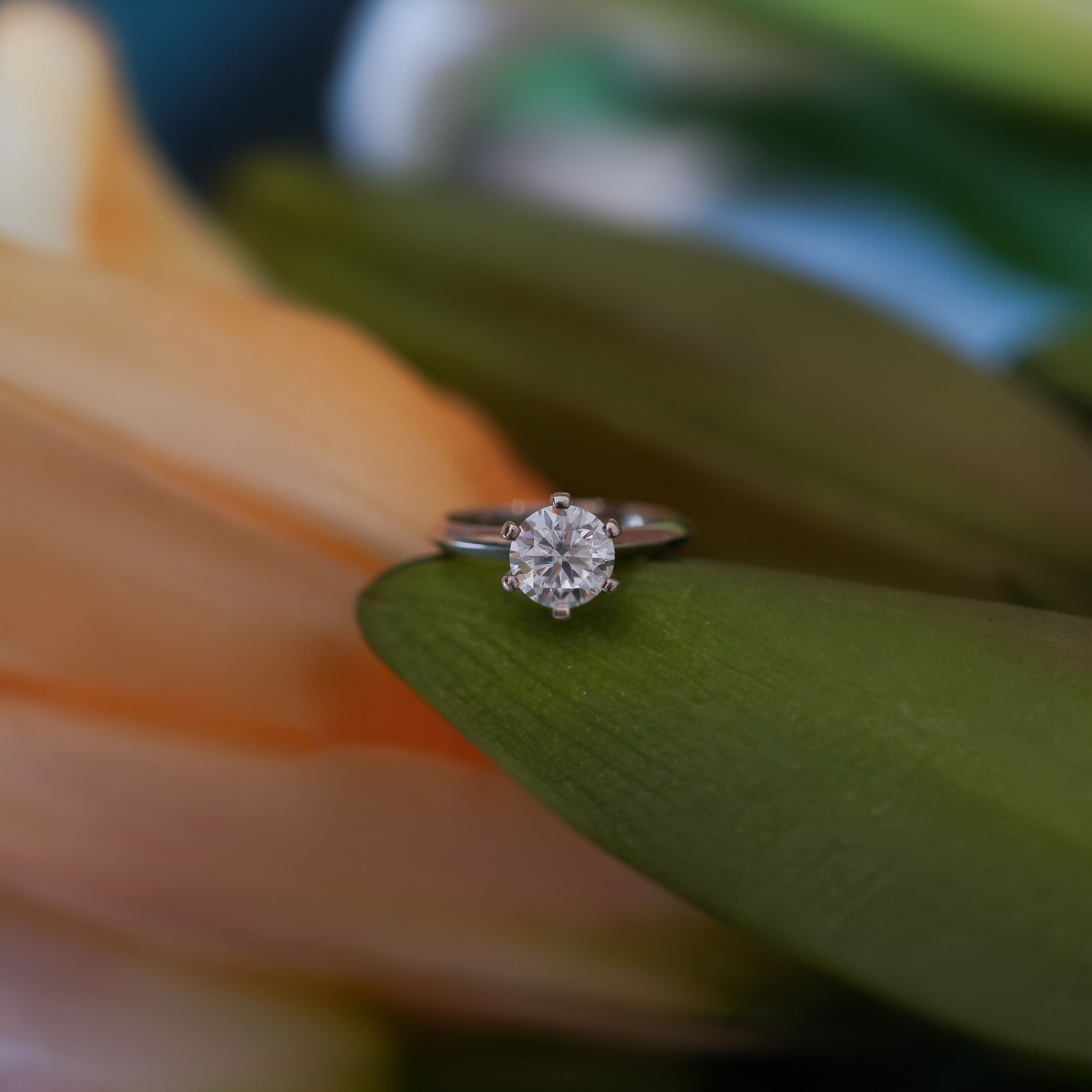 Selene Classic Solitaire Ring (Moissanite)