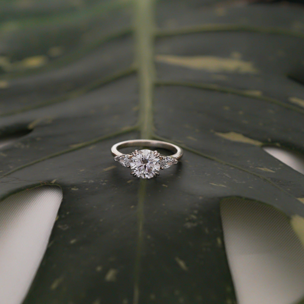 Hera Three-Stone Ring