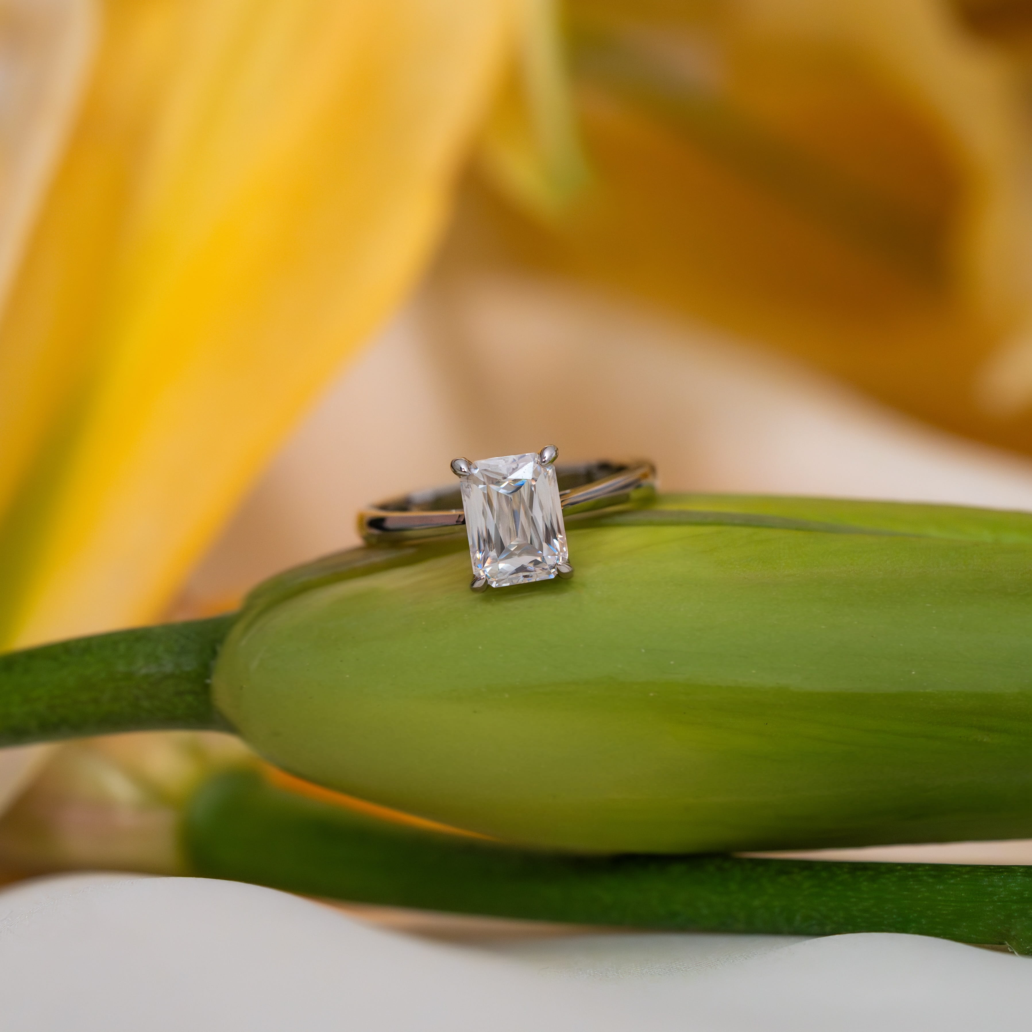 Elvara Solitaire Ring (Crisscut)