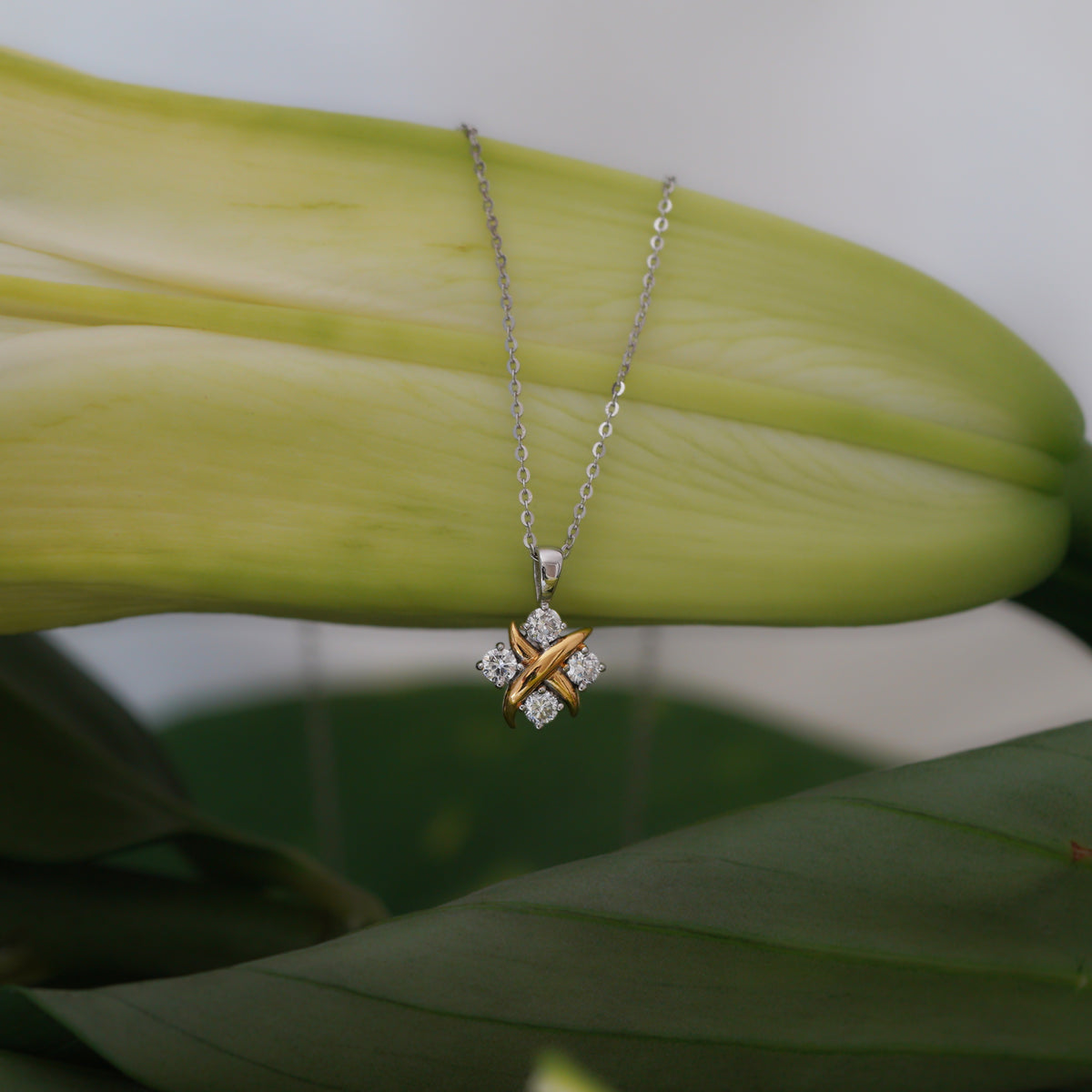 Eclisse Necklace (Diamond)