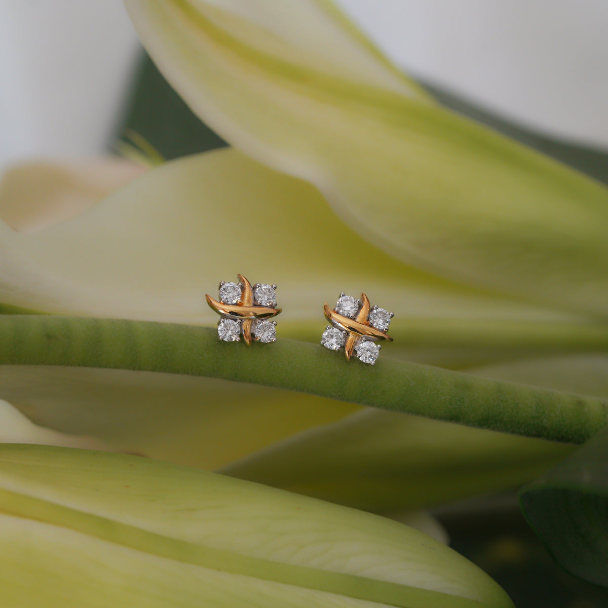 Eclisse Stud Earrings (Diamond)