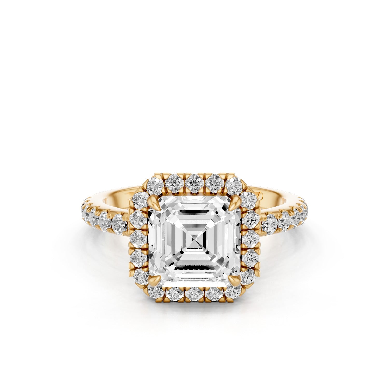 Halo Pavé (Moissanite)