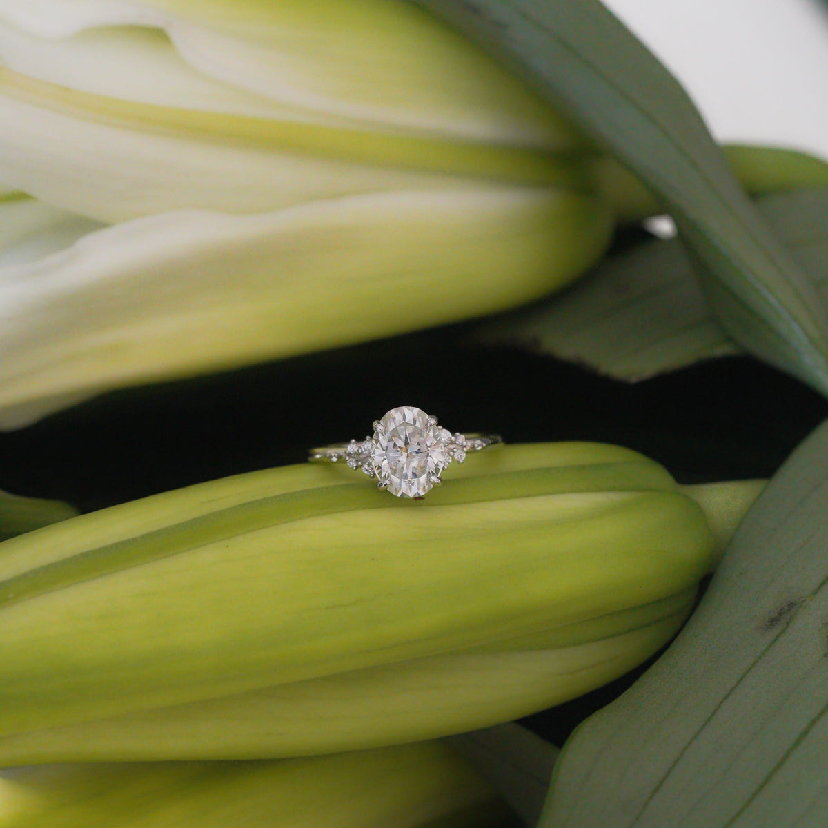 Amelisse Oval Cluster Ring