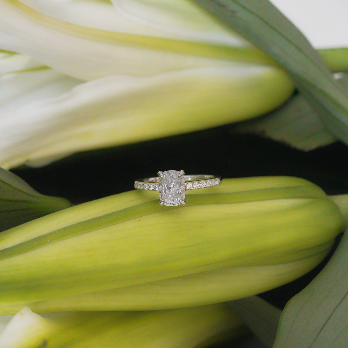 Eveloria Cushion Pavé Ring