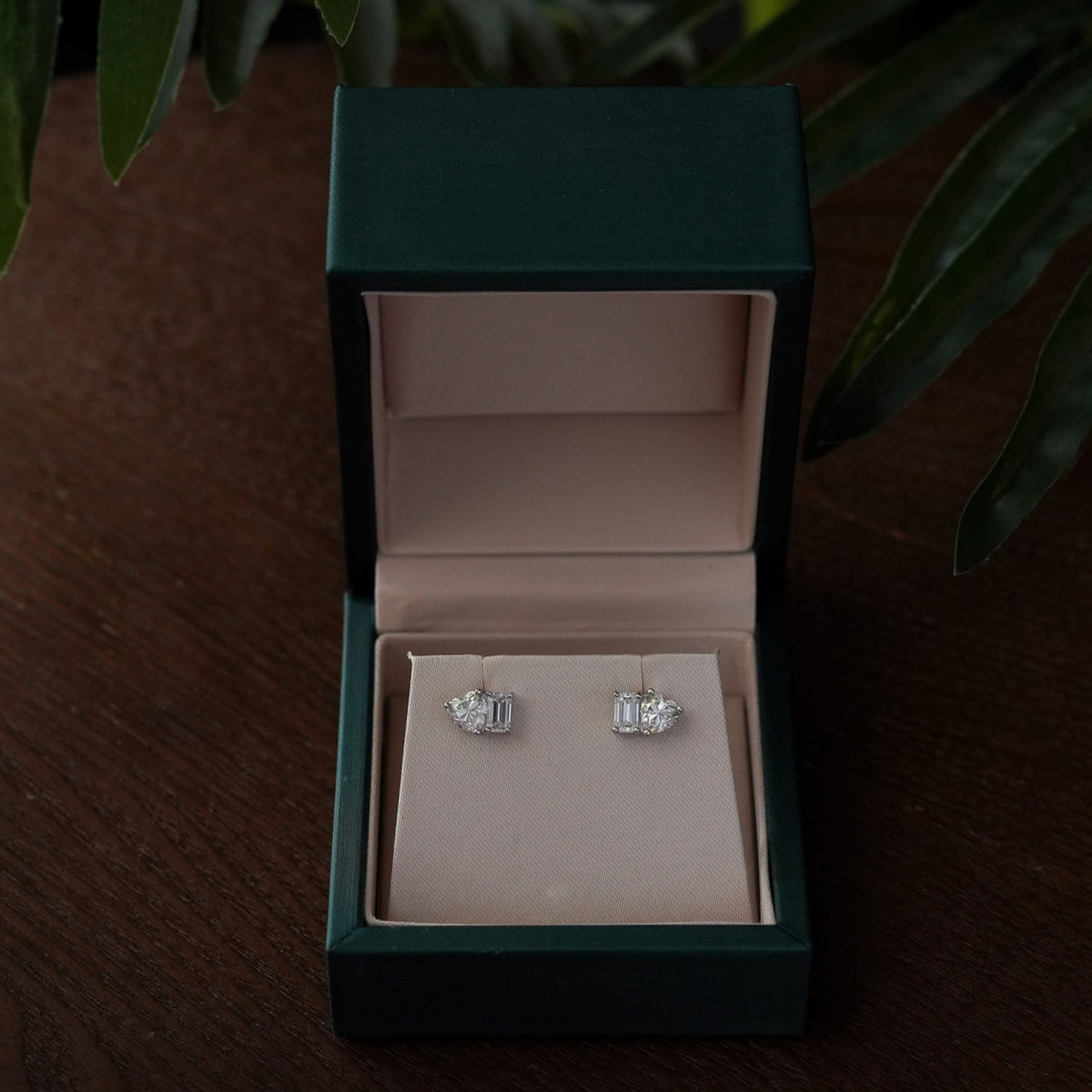 Star Cluster Earrings