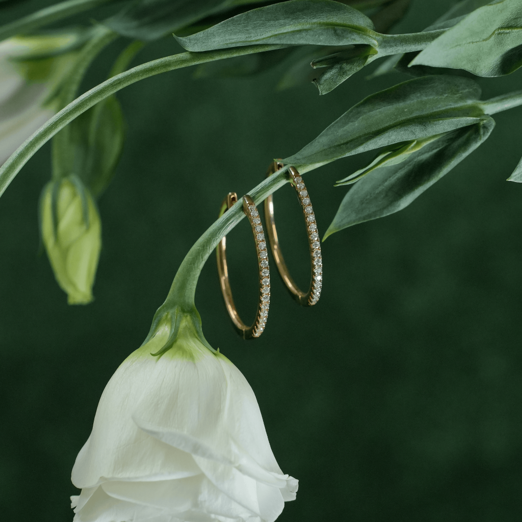 Gold hoop earrings hanging on a white flower with green leaves.