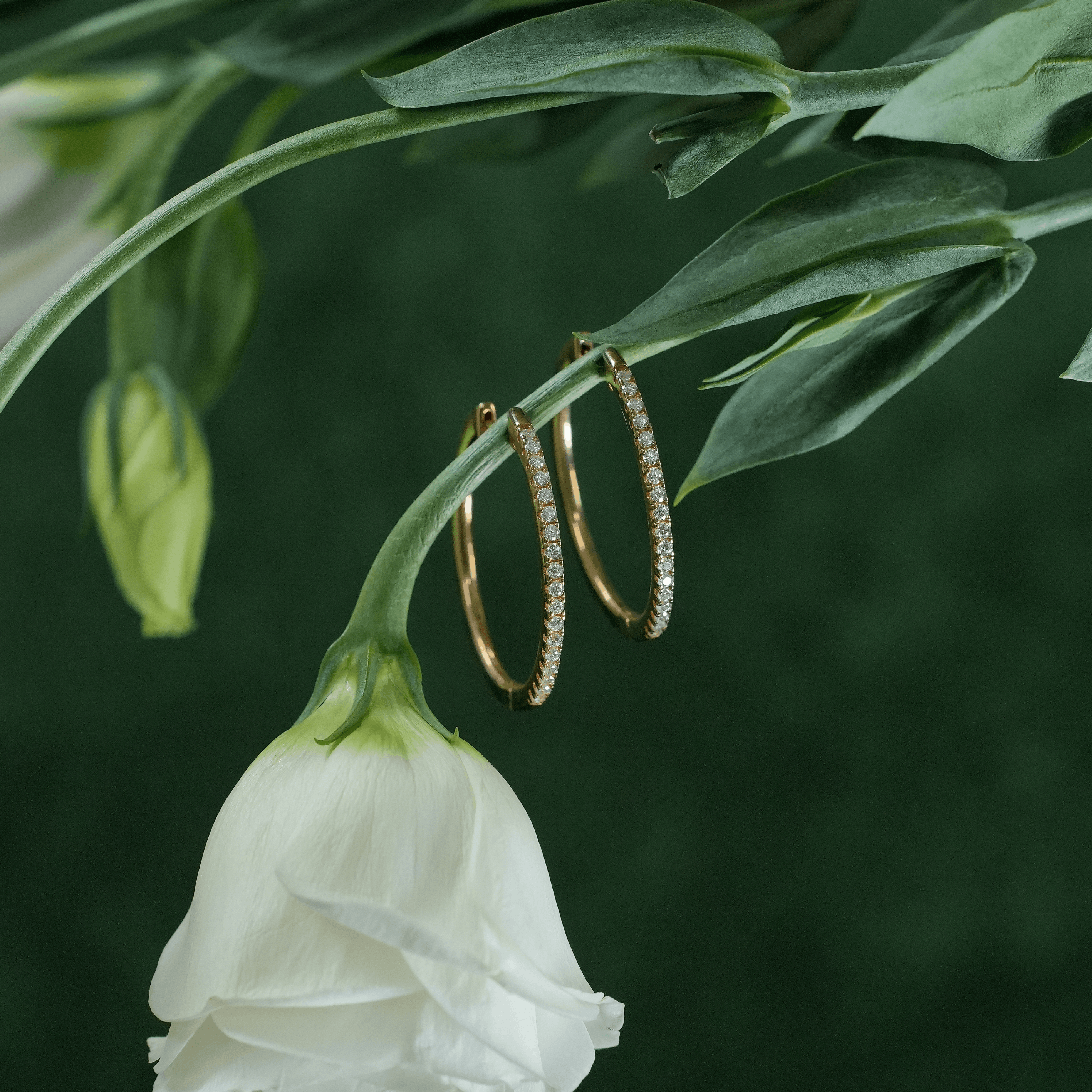 Cora Hoop Earrings