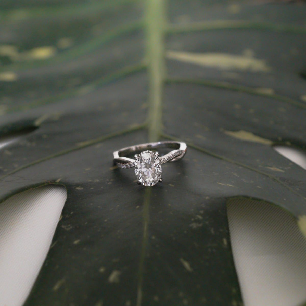 Zehra Oval Ring