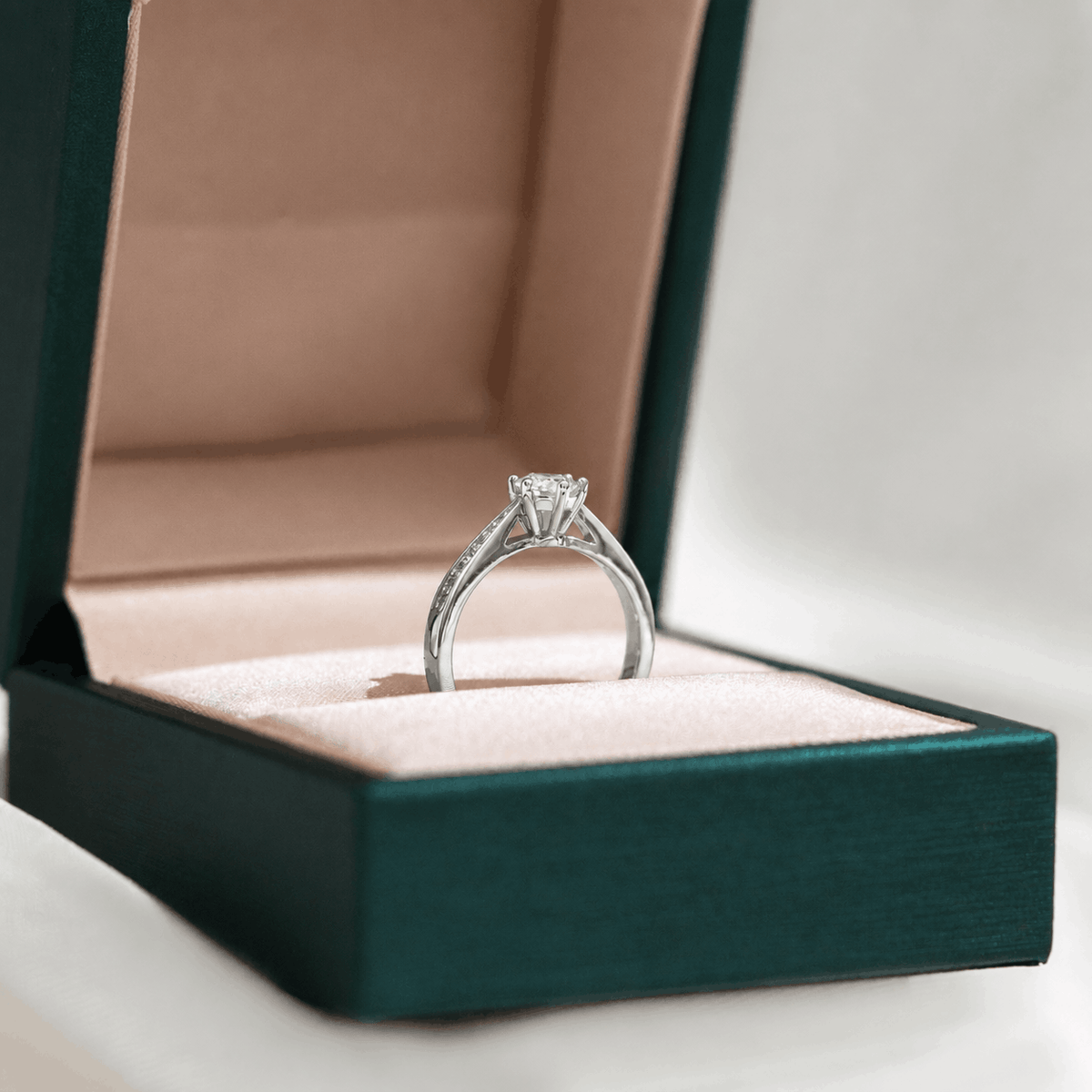 Aveline Cathedral Pavé Ring (Diamond)