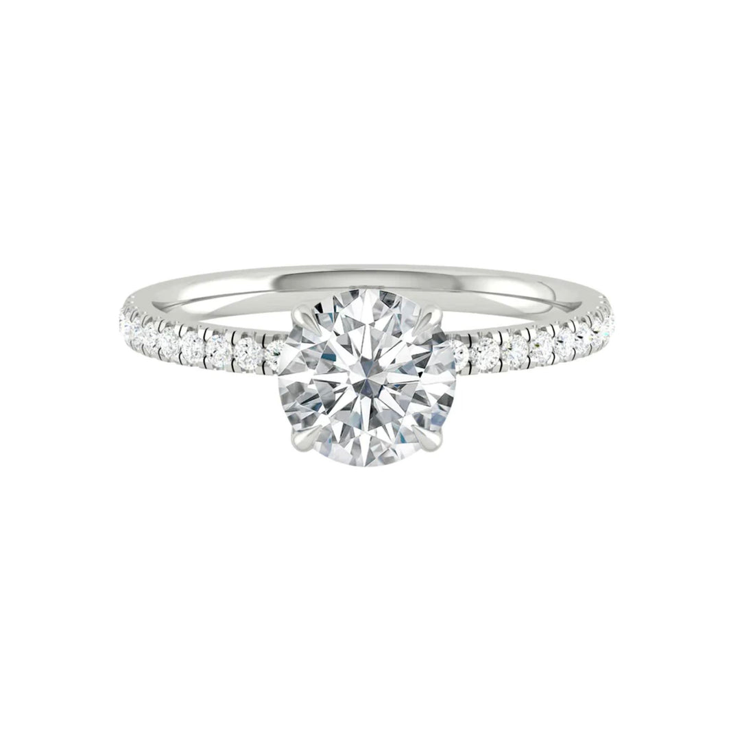 Rings – Pristine Paradigm