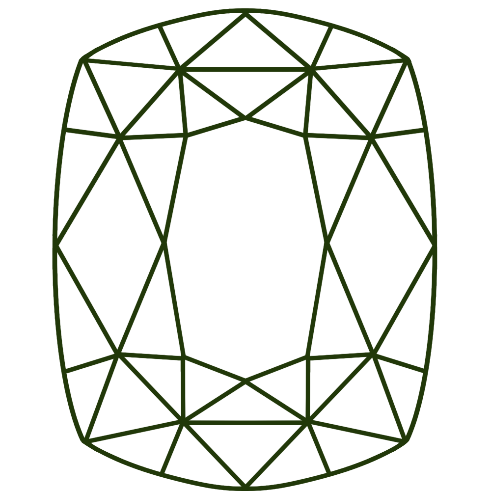 Elongated Cushion selected